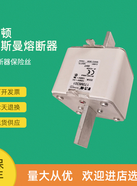 全新快速熔断器保险170M6299 170M6301 170M6303 170M6308