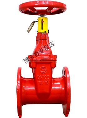 标一RVHS弹性座封闸阀暗杆带指示弹性座封闸阀DN506580150200 标