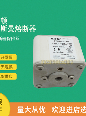 全新快速熔断器保险170M5595 170M5596 170M5597 170M5598