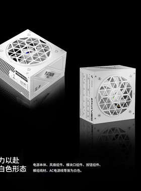 首席玩家NGDP铂金1000W全模组ATX3.0&3.1台式机箱电脑电源FDB电竞