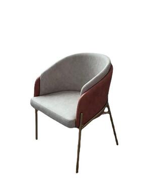 TN202高档家用椅餐级酒店会所售楼处星美容院接待洽谈椅不1437锈