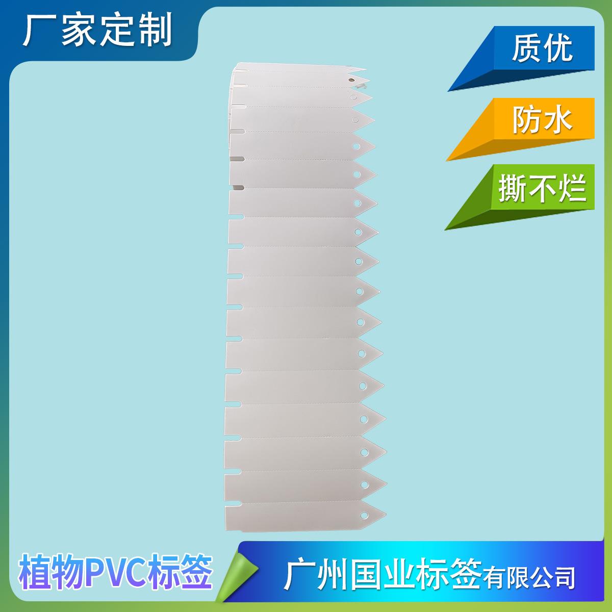 植物PVC卡插牌PP园艺花卉插牌防水塑料PVC标签PE园艺植物名牌