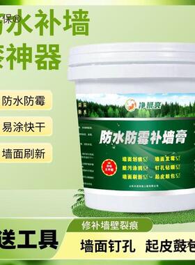 补墙膏墙面修补膏白色防水防潮腻子膏防霉涂料漆粉墙面装修麦太保
