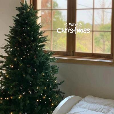 圣诞树diy材料包聖誕樹摆件pe套装加密圣诞节装饰家用大型新款