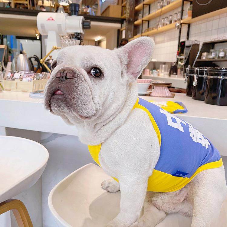 HeyElf狗狗背心法斗夏装宠物衣服透气凉快巴哥泰迪比熊柴犬雪纳瑞,宠物/宠物食品及用品,狗宠物服装/雨衣,淘宝优惠券,粉丝福利购,淘宝优惠卷