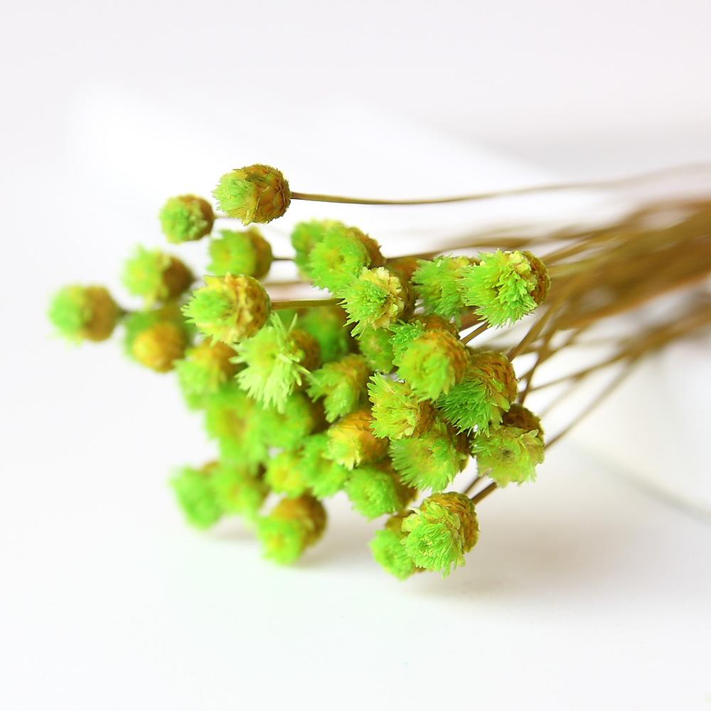 巴西快乐花永生花礼盒配花花材干花家居插花拍照道具手工