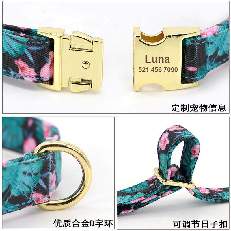 狗狗项圈牵引绳可爱牵狗绳小中型柯基巴哥博美用品大型犬遛狗脖圈
