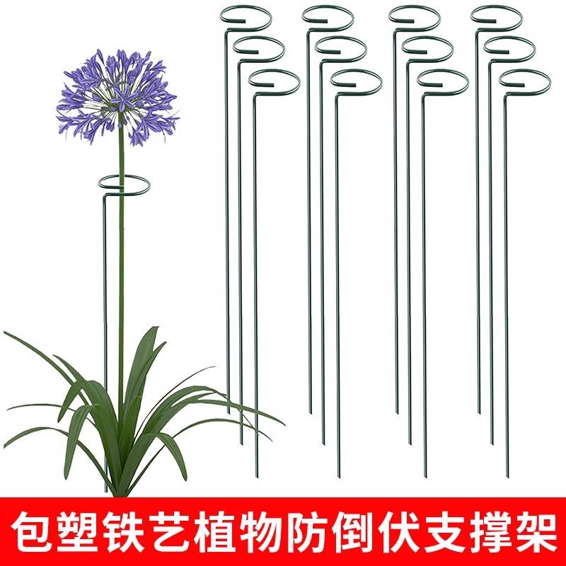 植物花架支撑杆朱顶红龟背竹园艺防倒扶支架插花月季枝条固定神器