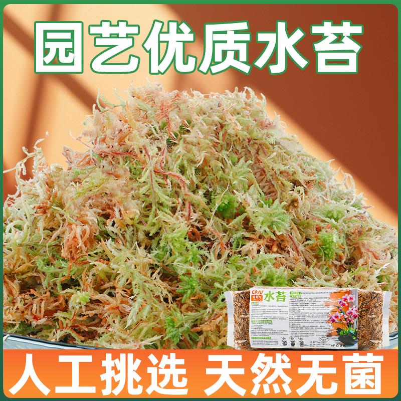干苔藓蝴蝶兰专用营养土兰花石斛植物纯天然青苔水苔乌龟冬眠垫材