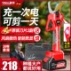 德国赢领电动剪刀果树修枝剪充电式 强力园林锂电剪刀剪树枝电剪子