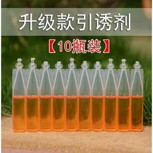 果蝇引诱剂瓜果实蝇诱捕器杀虫药水灭针锋药桔小实蝇针锋诱蝇神器