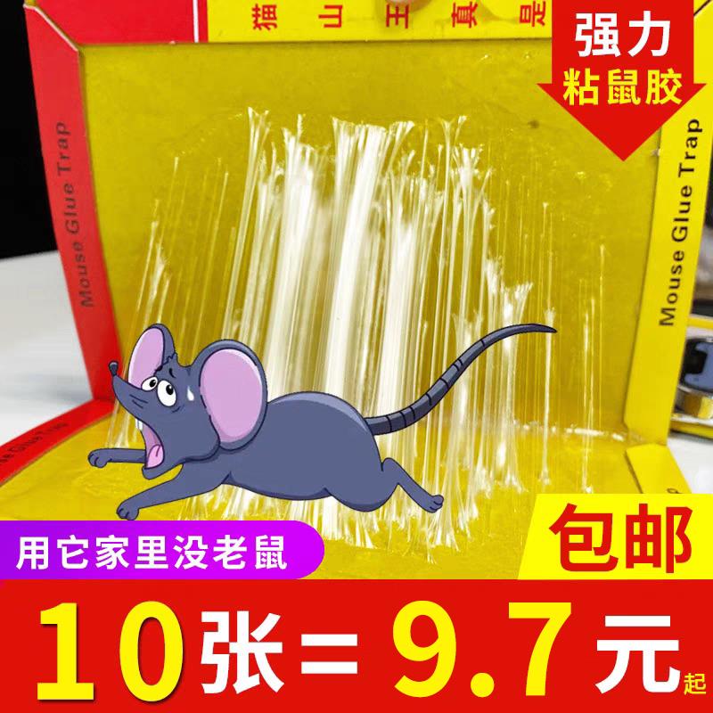 老鼠贴粘鼠板粘纸灭鼠器捉抓老鼠笼胶捕鼠神器家用灭鼠器神器10张