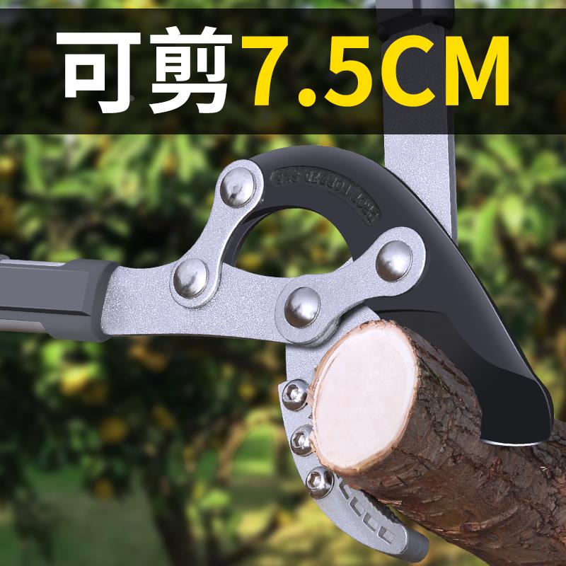 剪树枝专用剪刀果树剪枝修枝剪修剪修粗枝剪加长园林大剪子枝剪图片