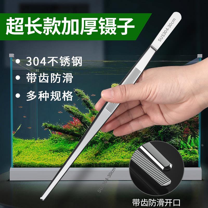 镊子不锈钢304圆头夹子带齿敷料维修燕窝挑毛加厚水草长柄直头弯