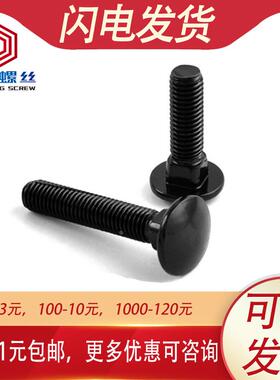 M5M6 304不锈钢黑色马车螺丝货架定位方颈螺栓*x12x25x30x40x50mm