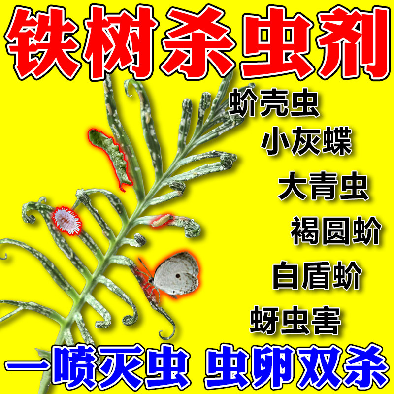 铁树杀虫剂虫卵双杀苏铁小灰蝶蚧壳虫蚜虫腻虫吃叶子平安树打虫药