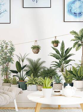 清新植物盆栽墙面装饰贴画卧室沙发背景墙椰子树可移除墙贴 69212