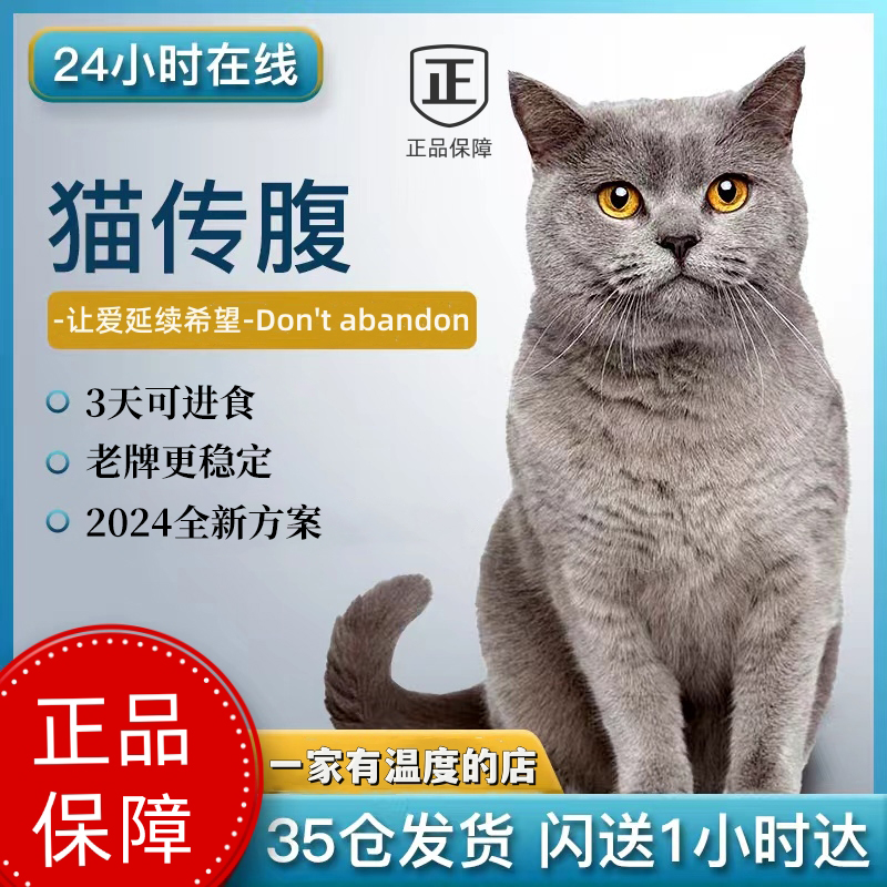 猫传腹三天可进食救助上万猫咪