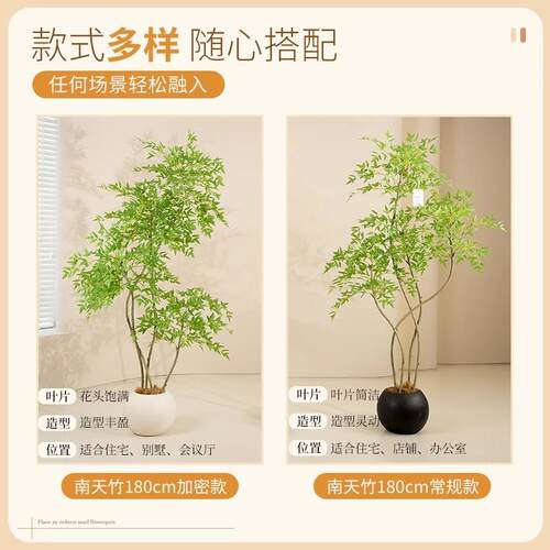 南天竹仿客绿植高级感厅真轻奢室内大型装MN-南天饰树假物落植地