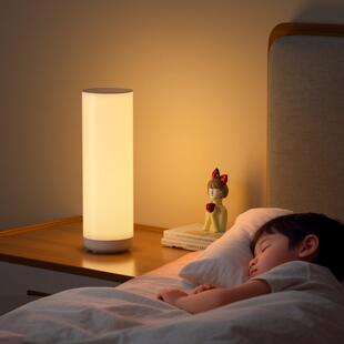 控小夜头灯卧室睡眠灯柔光高级感充电阅读台灯客厅长款 续航XYD301