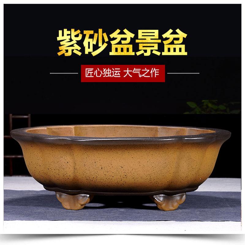 宜兴大紫砂盆景盆特海棠长方形椭圆形盆栽盆ECH花盆阳庭台院盆景