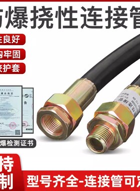 BNG防爆挠性连接管DN20防爆穿线软管DN15防爆挠性连接软NGD挠性管