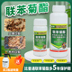启帅微囊悬浮白蚁药克星全窝端家用防治专用除虫剂专业灭白蚁药粉