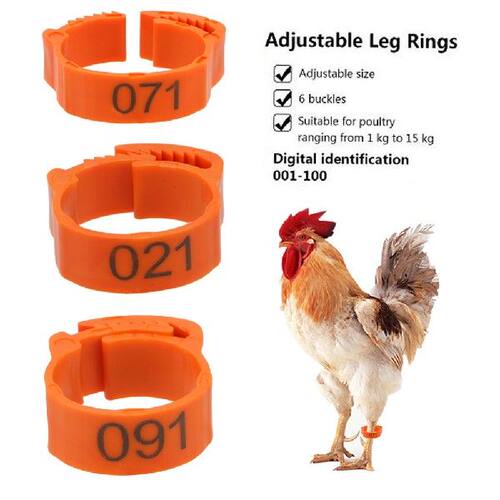 好货Buckle Ring Adjustable 100Pcs/set Color Randomly Leg
