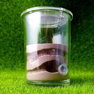好货.Ecological Plaster Ant Fa square Nest Landscaping House