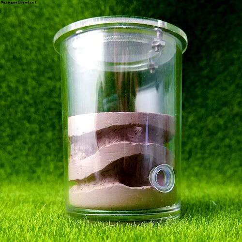好货.Ecological Plaster Ant Fa square Nest Landscaping House