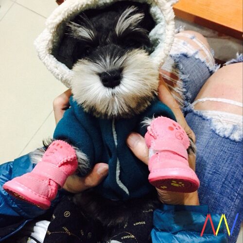 好货Warm Pet Dog Cats Winter Shoes For Dogs Non slip Pink Bo