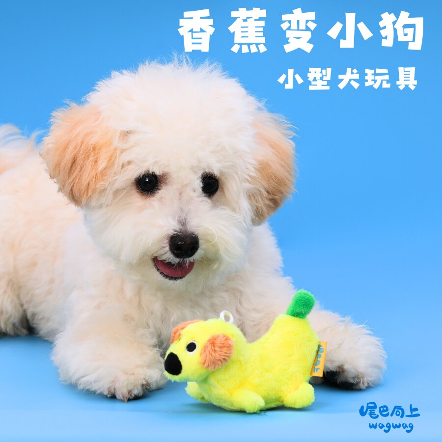 尾巴向上小型犬毛绒发声磨牙玩具