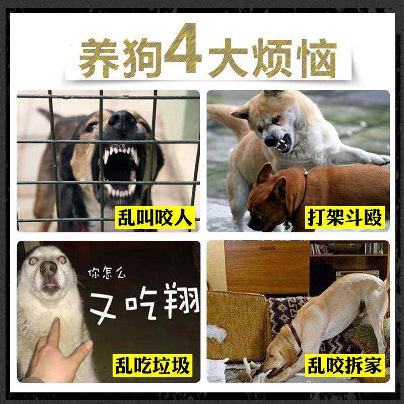 极速黑色小号狗狗嘴套小型精致泰迪简单嘴罩简易幼犬贵宾美观牢固