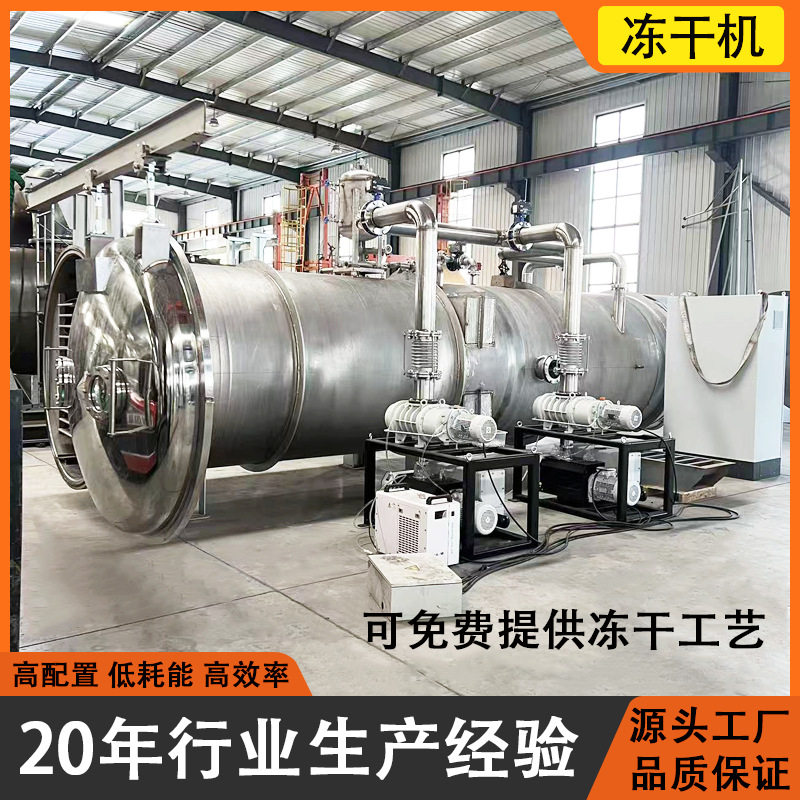 冰淇淋冻干机巧克力糖果棉花糖商用冻干设备不锈钢真空冷冻干燥机