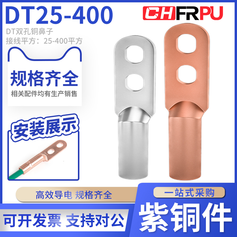 菲尔浦DTS双孔铜鼻子接线端子