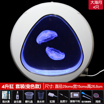 爆水母缸活物生态瓶造景客厅桌面宠物观赏鱼缸赤月养殖专用水族品