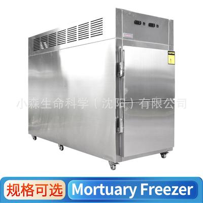 Morgue freezer双门死人冰棺太平间遗体冷冻防腐现货尸体冷藏箱