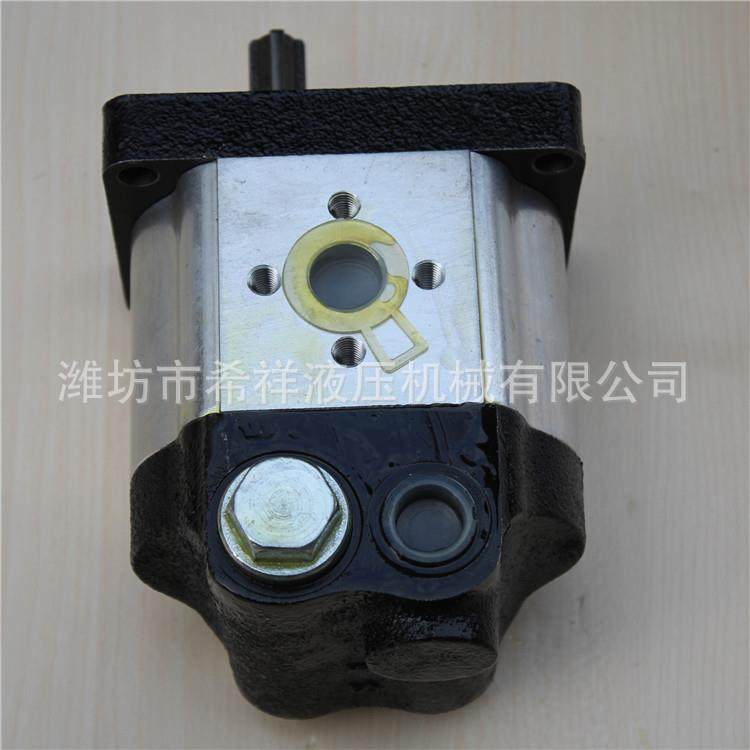 厂家现货供应恒流泵系列齿轮泵微型齿轮泵多种液压齿轮油泵,五金/工具,其它泵类型,淘宝优惠券,粉丝福利购,淘宝优惠卷