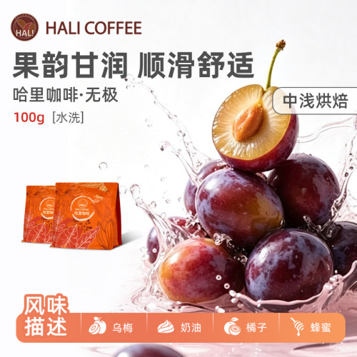 HALICOFFEE埃塞中浅烘焙咖啡豆