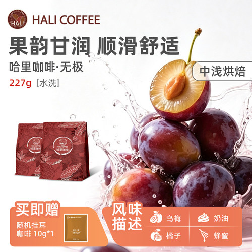 HALICOFFEE埃塞中浅烘焙咖啡豆