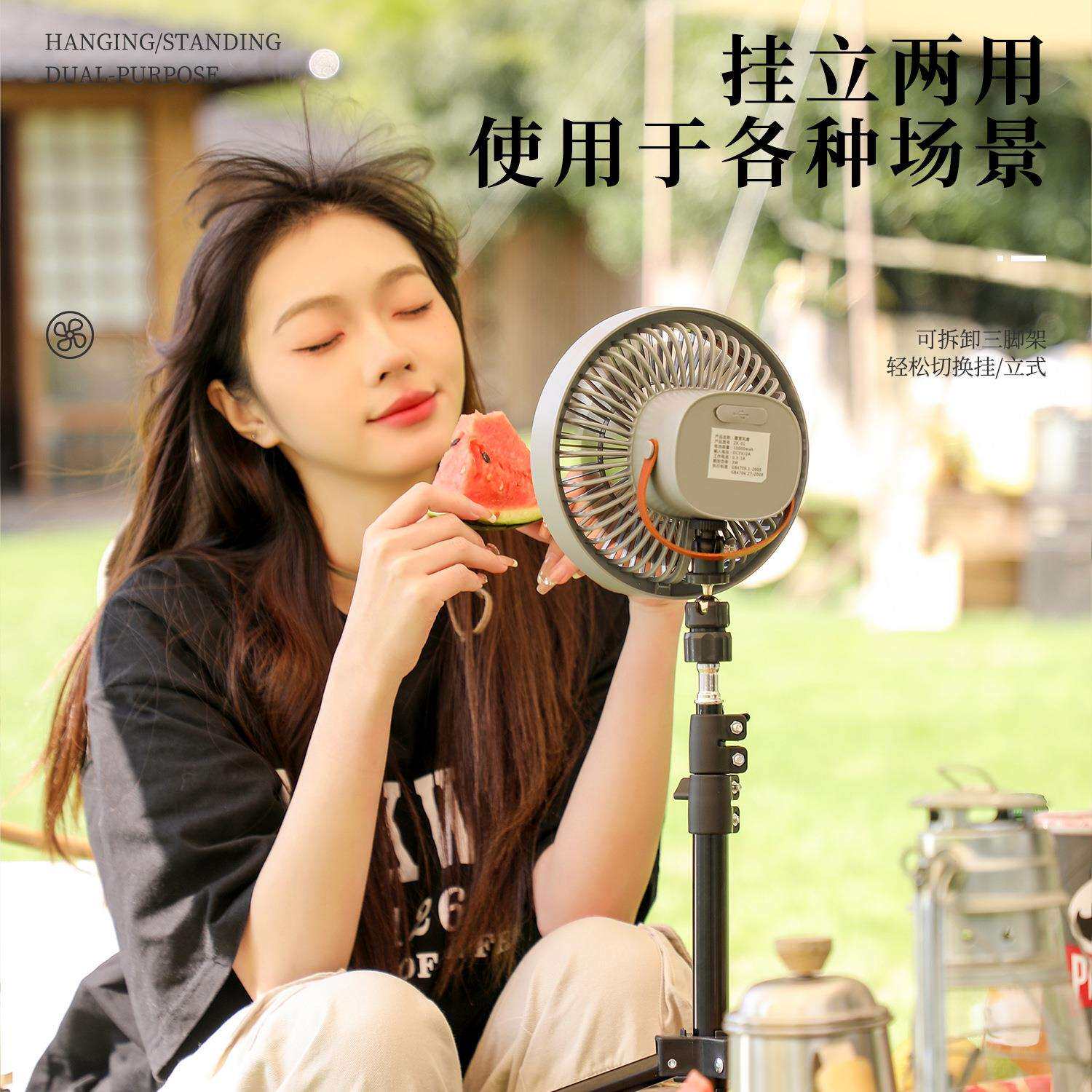 23新款露营风扇LED白昼灯便携式可拆卸三脚架桌面电风扇床头挂扇