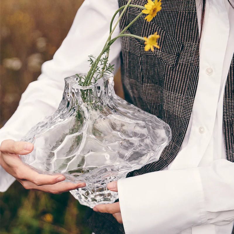 丹麦Hein Studio侘寂风玻璃花瓶不规则透明水养T插花瓶 日式花器