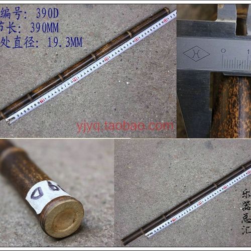 紫竹京胡担子福建闽侯 鳝鱼花鳝鱼黄 二黄担子 节995