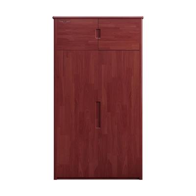 制式家具营具内务物品存放柜两门学校培训基地单位宿舍实木衣柜