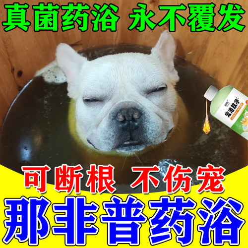 狗狗皮肤病专用药浴】一洗就好