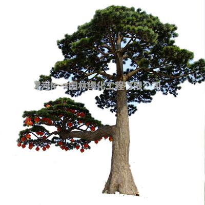 中式仿真松树植美人松假树物造装饰家居植设计工FZFS-250绿程大型