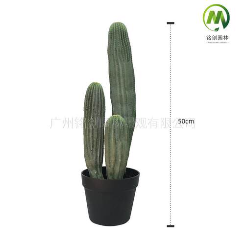 人热柱带沙大漠假植物造景001装饰量天尺型人造仙人掌真仙人仙球