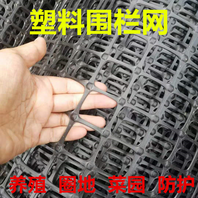 圈玉米网塑料网土工格栅养鸡鸭鹅鱼E塘围栏防护网栅栏养殖网护栏