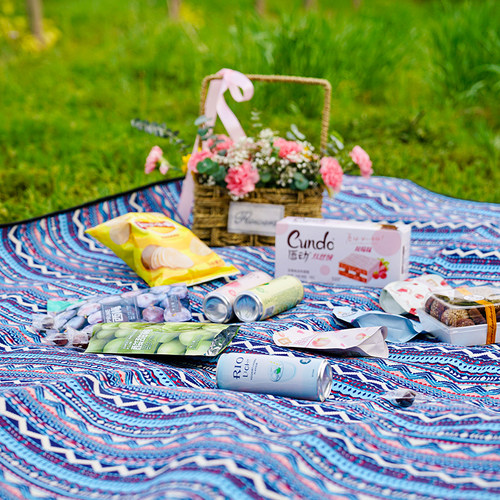 户外野餐垫春游i郊游草坪垫子草地加厚防潮防水野餐布超大3米便携