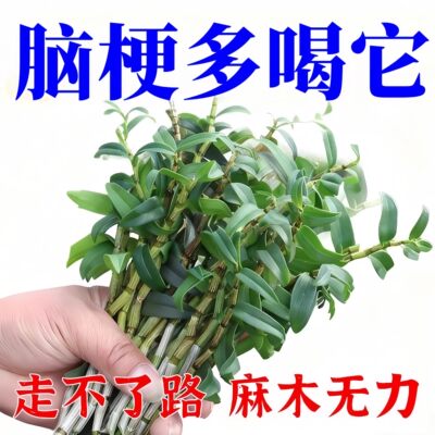 脑梗喝什么茶非疏通心血管堵塞非溶栓降脂胆固醇专狭窄软化